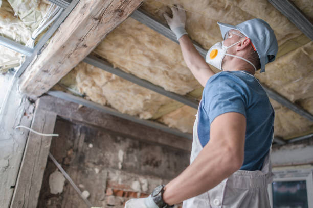 Best Types of Insulation in Kahuku, HI