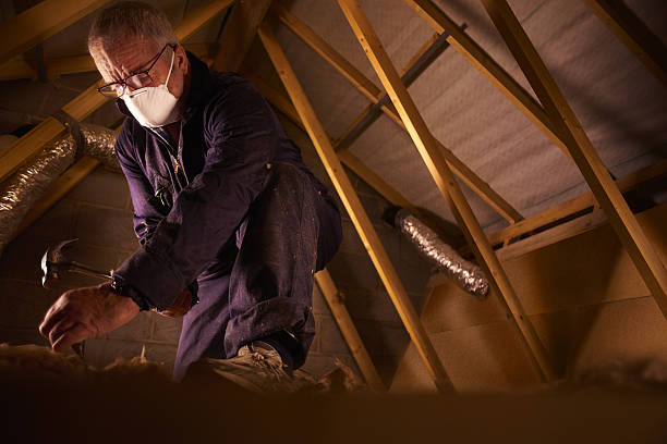 Best Insulation for Specific Applications in Kahuku, HI